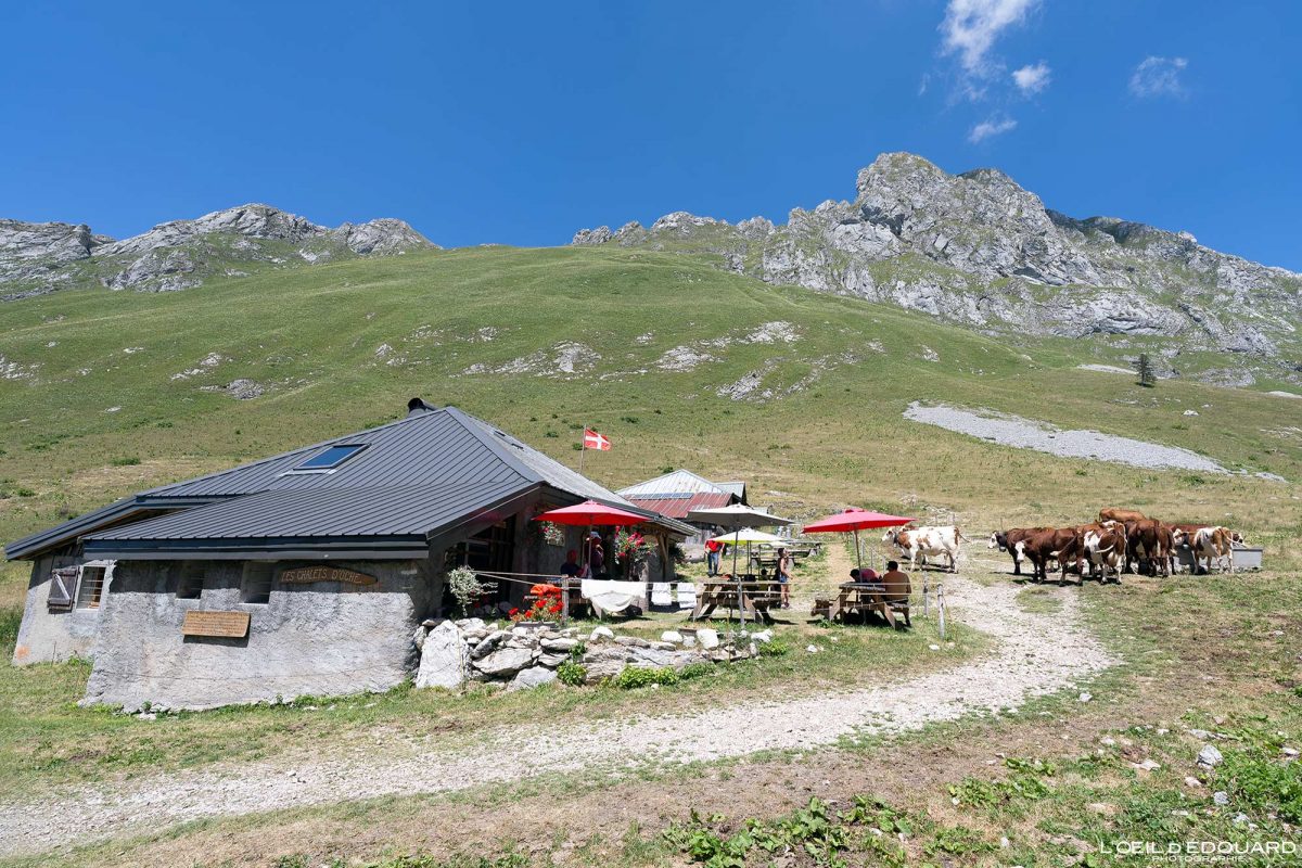 Chalets d'Oche - Randonnée Dent d'Oche Massif du Chablais Haute-Savoie France Tourisme Paysage Montagne Outdoor Nature Hiking Mountain Landscape