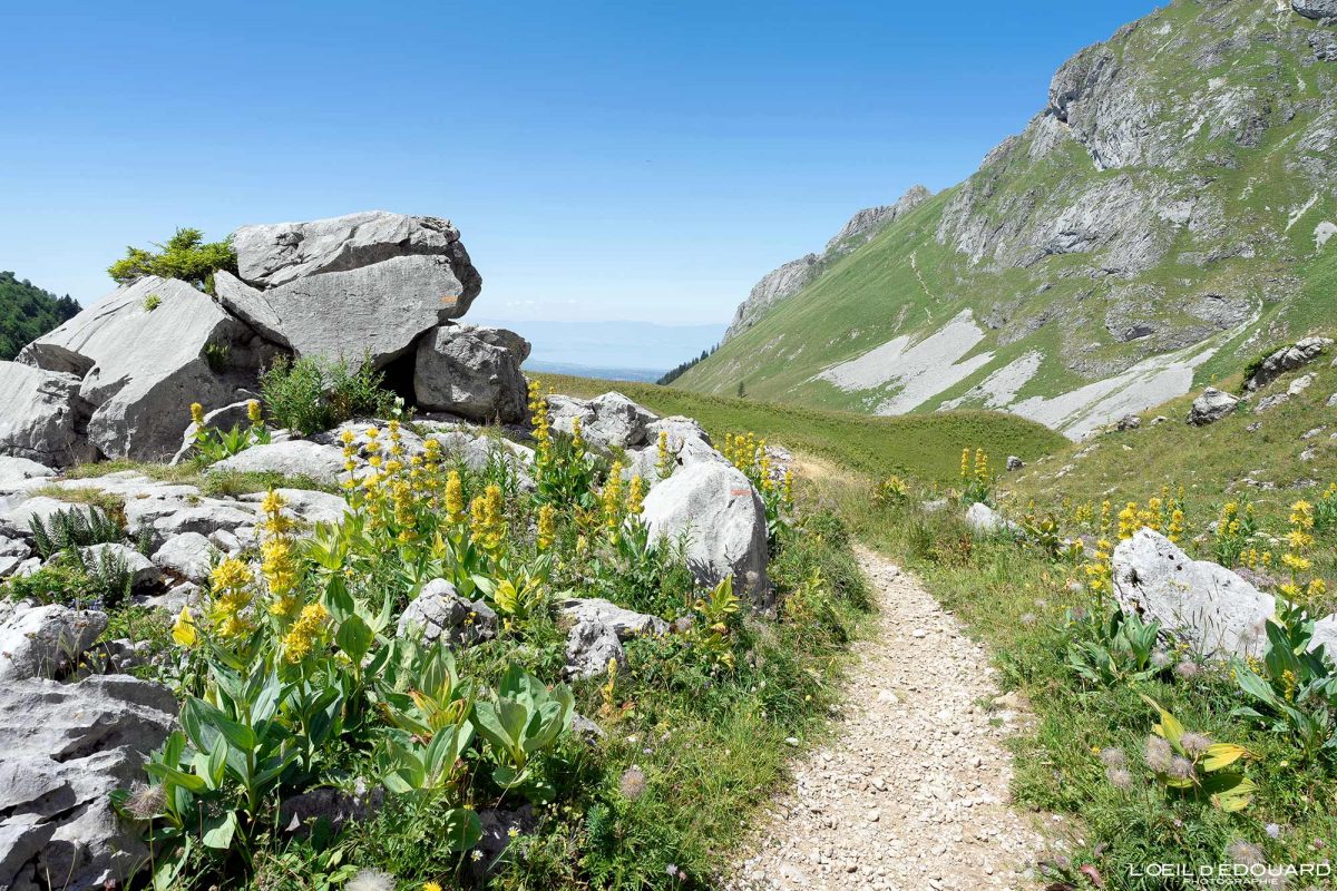 Randonnée Dent d'Oche en boucle Massif du Chablais Haute-Savoie France Tourisme Paysage Montagne Outdoor Nature Hiking Mountain Landscape