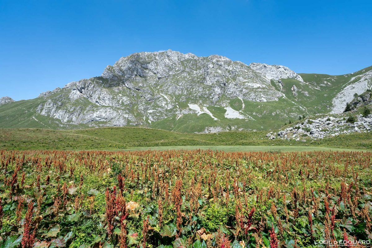 Dent d'Oche Massif du Chablais Haute-Savoie France Tourisme Paysage Montagne Randonnée Outdoor Nature Hiking Mountain Landscape