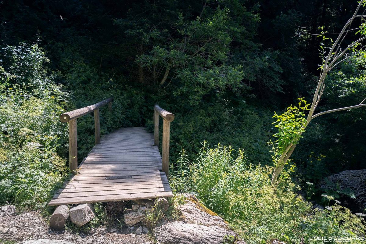Randonnée Dent d'Oche en boucle Massif du Chablais Haute-Savoie France Tourisme Paysage Montagne Outdoor Nature Hiking Mountain Landscape