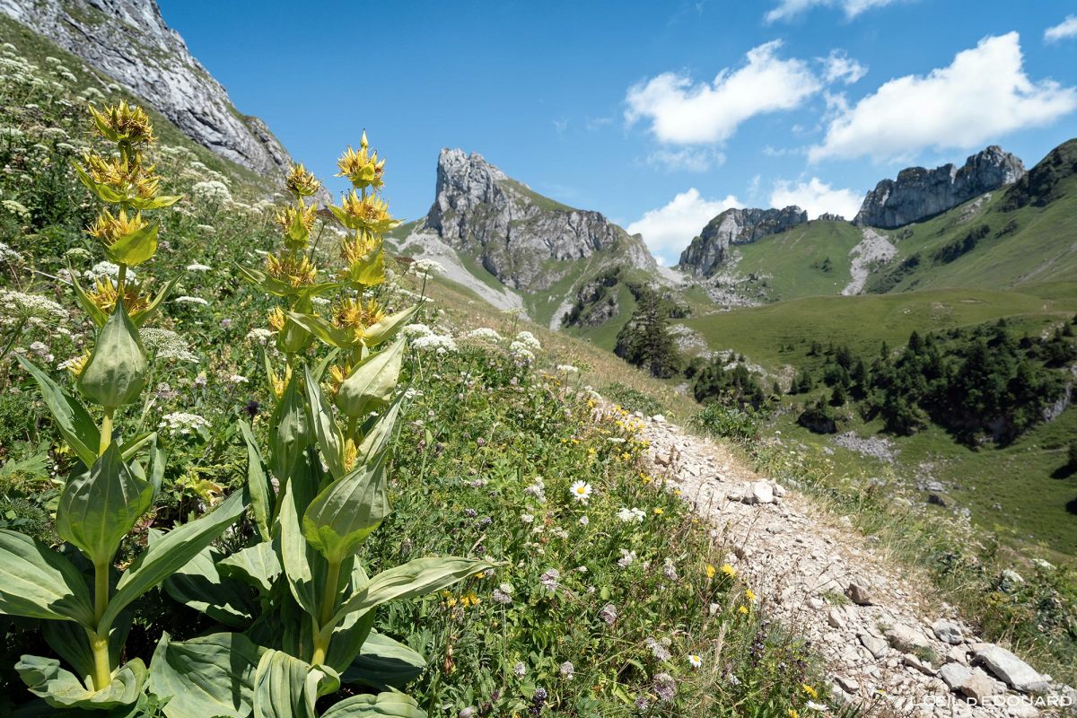 Randonnée Dent d'Oche Massif du Chablais Haute-Savoie France Tourisme Paysage Montagne Outdoor Nature Hiking Mountain Landscape