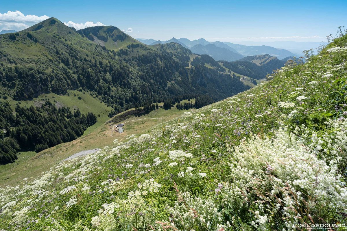 Randonnée Dent d'Oche Massif du Chablais Haute-Savoie France Tourisme Paysage Montagne Outdoor Nature Hiking Mountain Landscape