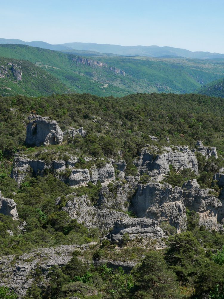 Cité de pierres Aveyron