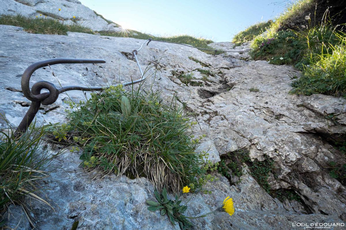 Barres métalliques Randonnée La Tournette Variante par le Col du Varo Haute-Savoie France Tourisme Paysage Montagne Outdoor Nature Hiking Mountain Landscape