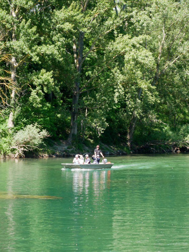 Les bateliers du Viaduc, Millau