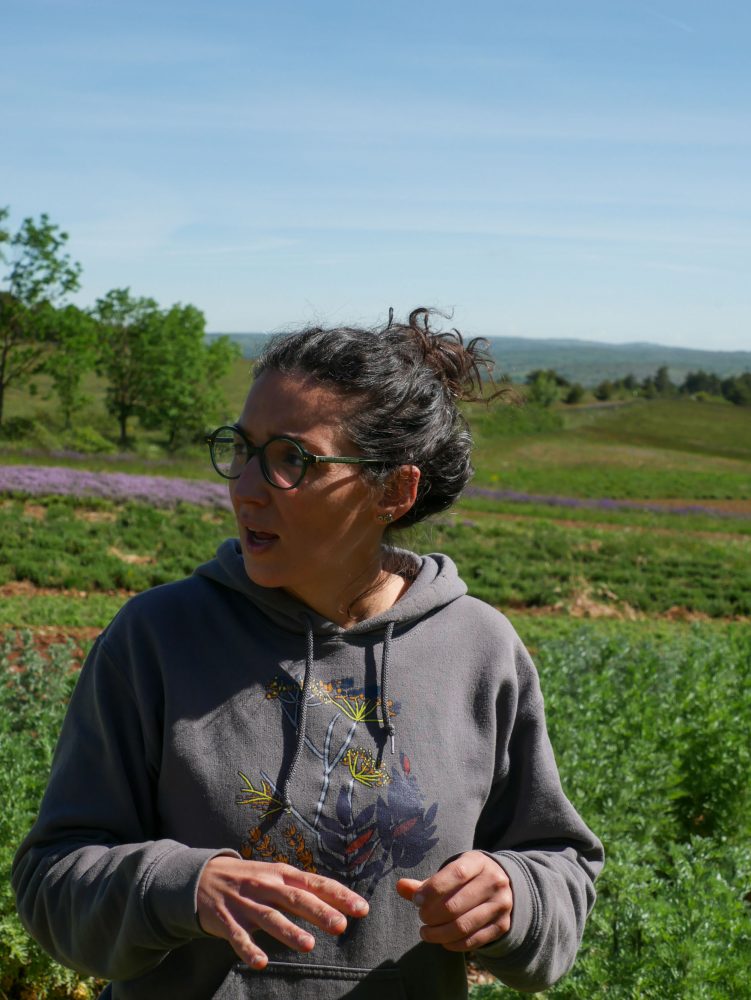 Marion cultive plantes aromatiques et médicinales dans le Larzac