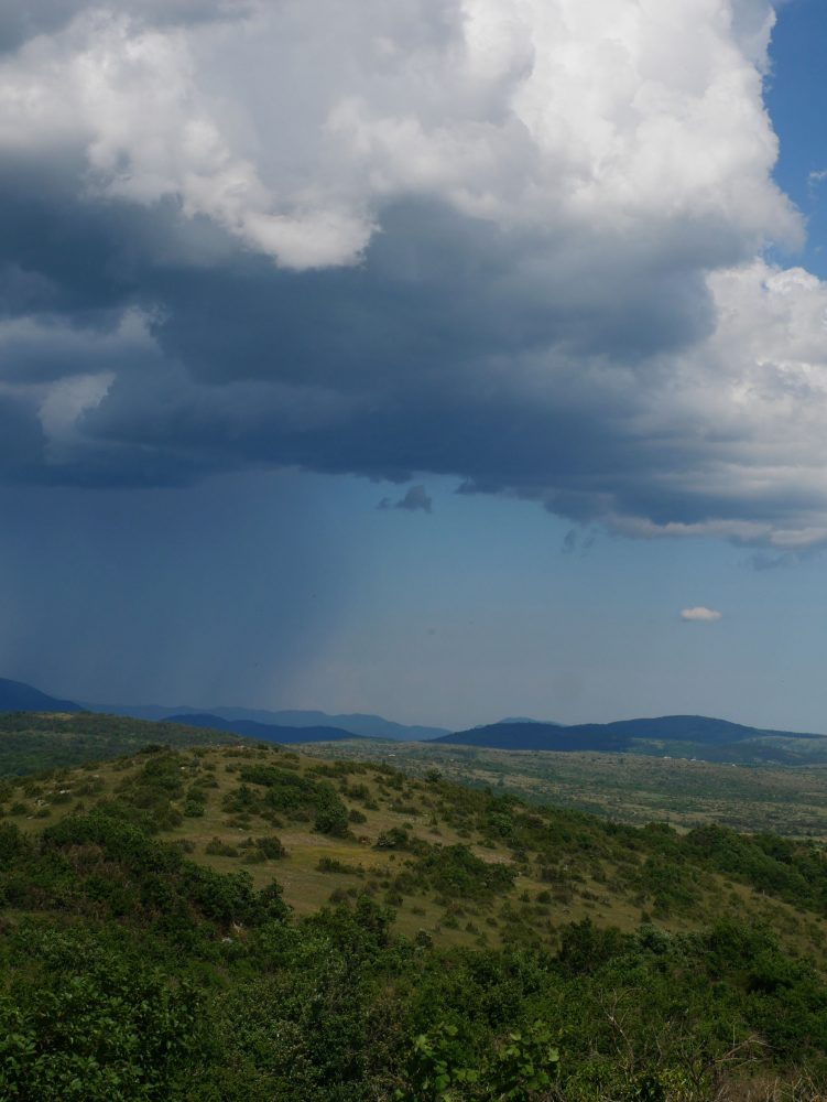 Que voir dans le larzac, balade autour du Domaine de Gaillac