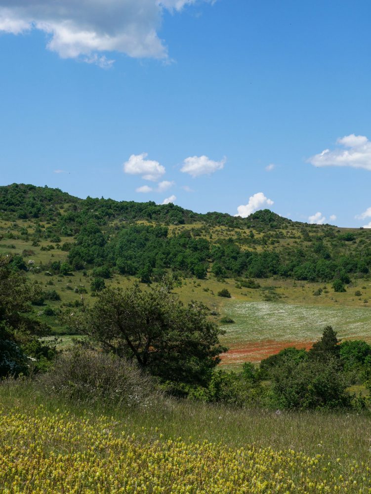 Quoi faire dans le larzac -randonnée Serre de la Lavande
