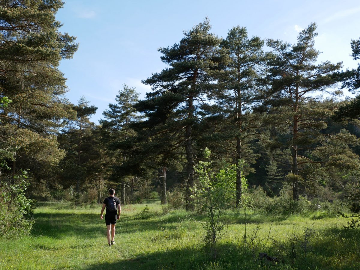 Randonnée sur le GR71 autour du hameau de Montredon, plateau du Larzac