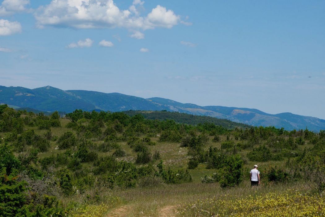 Raondonnée point culminant du Larzac