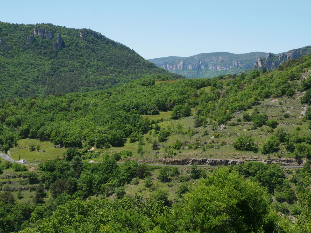 Route menant à la Cité de Pierres, depuis Nant