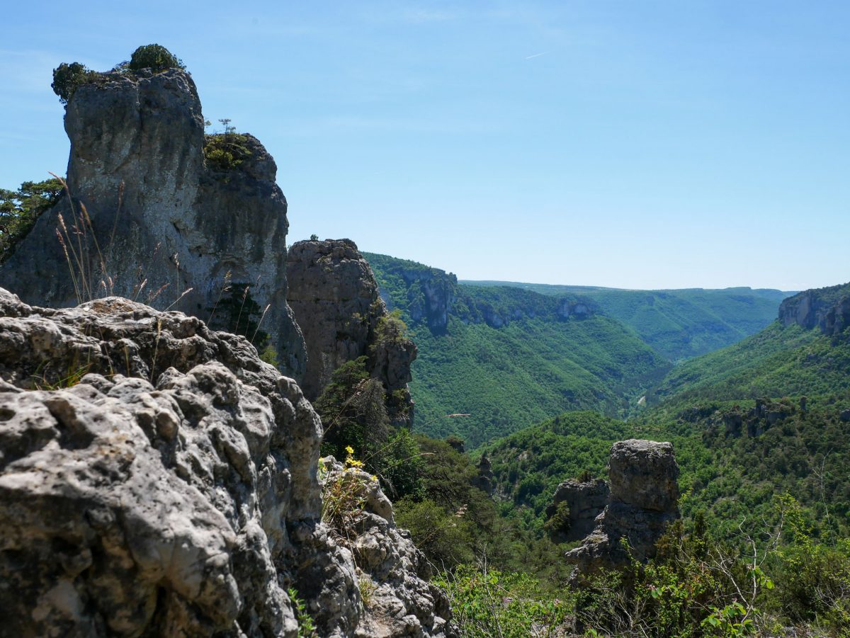 cité de pierres, panorama, larzac