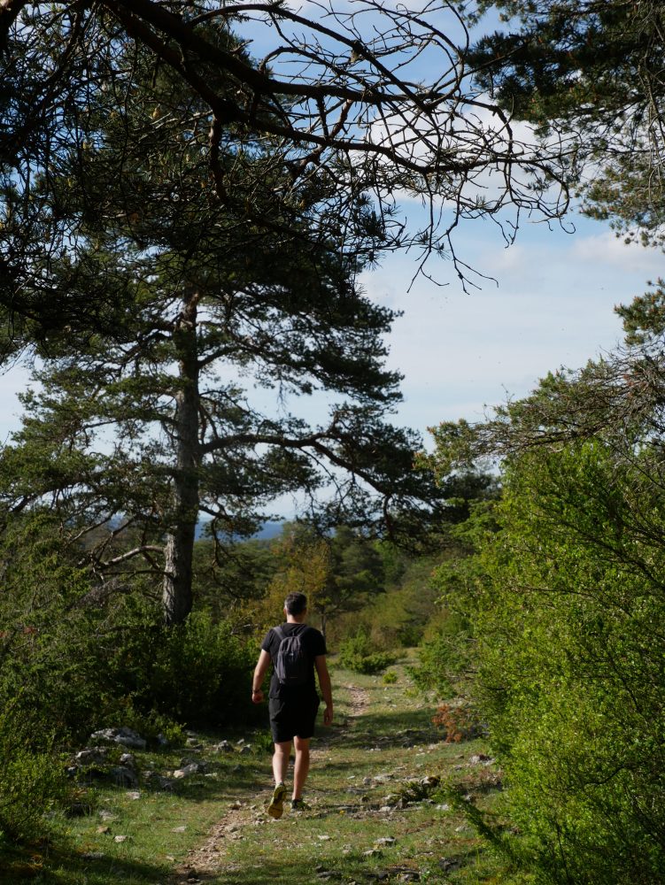 randonnée GR71 plateau du Larzac