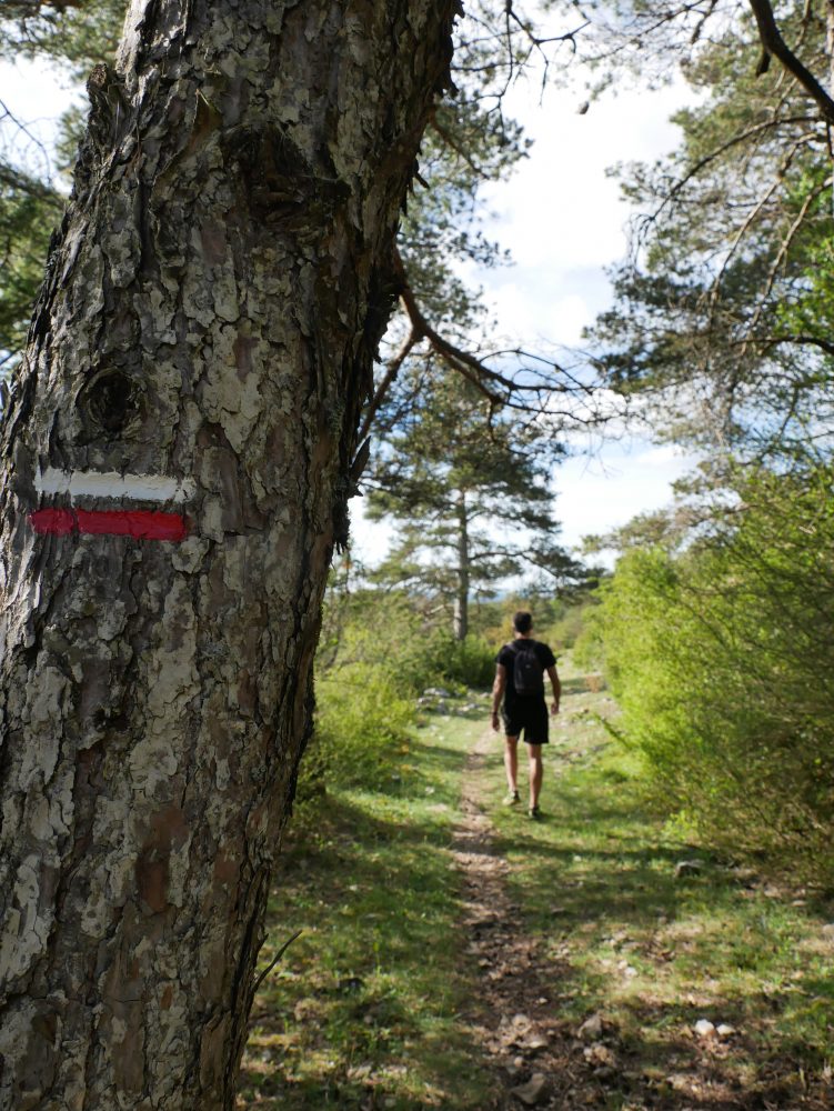 randonnée plateau du Larzac, GR71