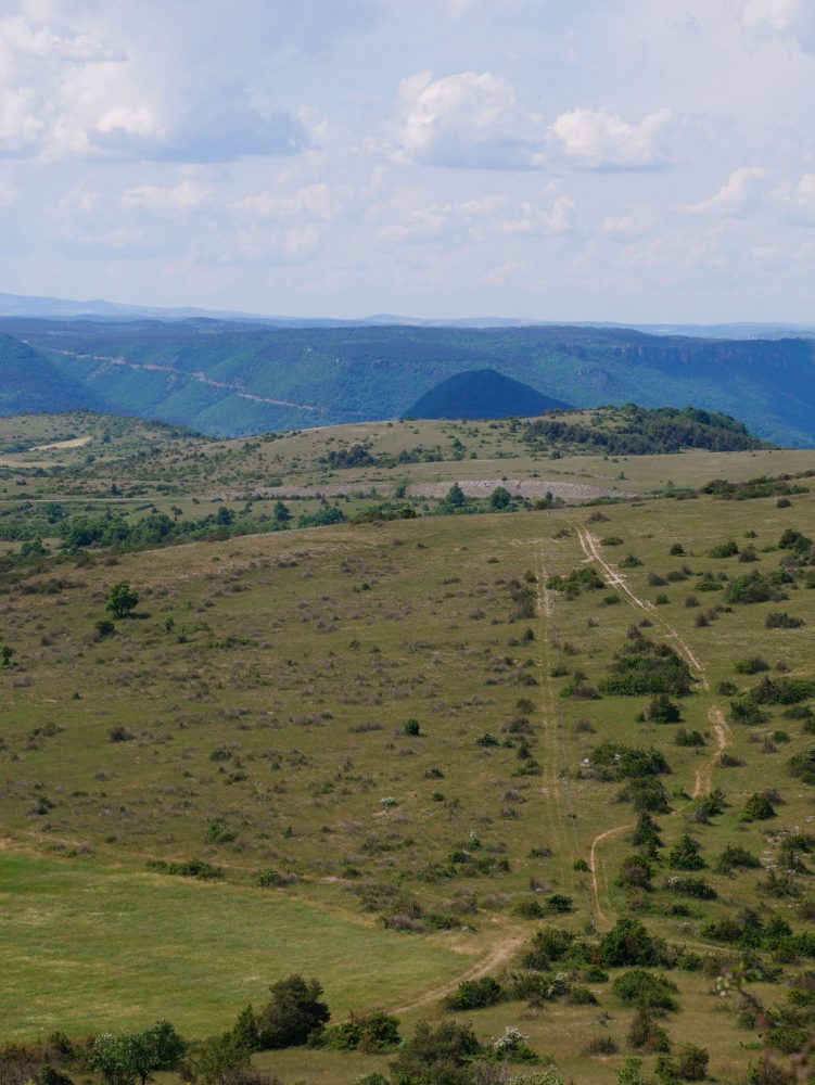 vue depuis le point culminant du Larzac