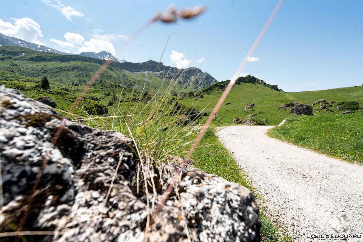 Plan Mya Randonnée Beaufortain Savoie Alpes France Tourisme Paysage Montagne Nature Outdoor Landscape Mountain Hiking