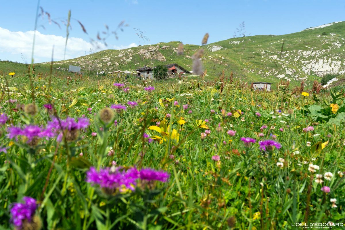 Refuge du Plan Mya Randonnée Beaufortain Savoie Alpes France Tourisme Paysage Montagne Nature Outdoor Landscape Mountain Hiking