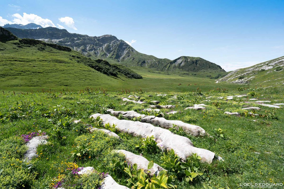 Plan Mya Randonnée Beaufortain Savoie Alpes France Tourisme Paysage Montagne Nature Outdoor Landscape Mountain Hiking