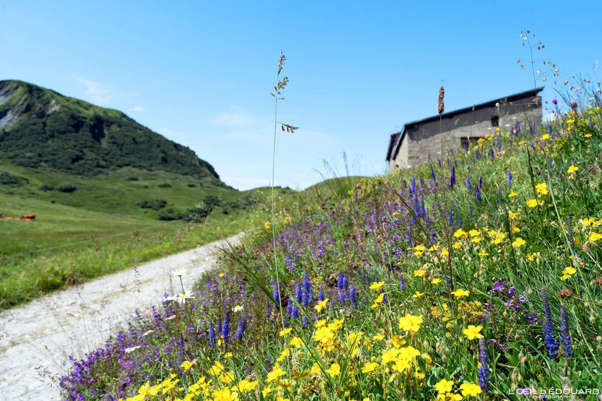 Plan Mya Chalet de Mora Randonnée Beaufortain Savoie Alpes France Tourisme Paysage Montagne Nature Outdoor Landscape Mountain Hiking