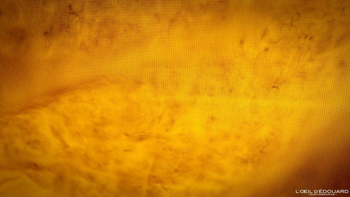 Test doudoune Helly Hansen Odin Everdown Hooded Jacket Review Thinkdown® technology outdoor clothe mountaineering hiking winter mountain snow ski touring - Vêtement veste hiver ski de randonnée alpinisme montagne hiver neige