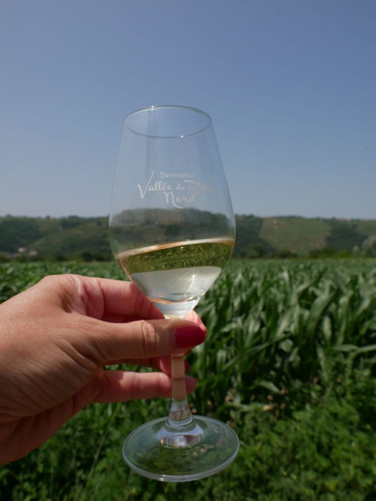 Degustation de Condrieu, près de Vienne