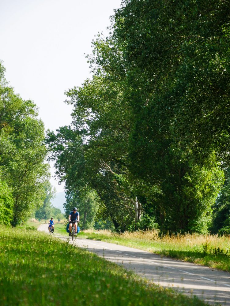 La ViaRhona entre Vienne et Valence