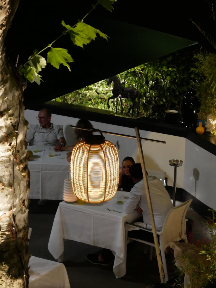 Vue sur la terrasse du restaurant La Pyramide - Patrick Henriroux