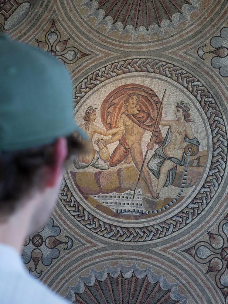 que faire vienne, Musée St Romain en gal