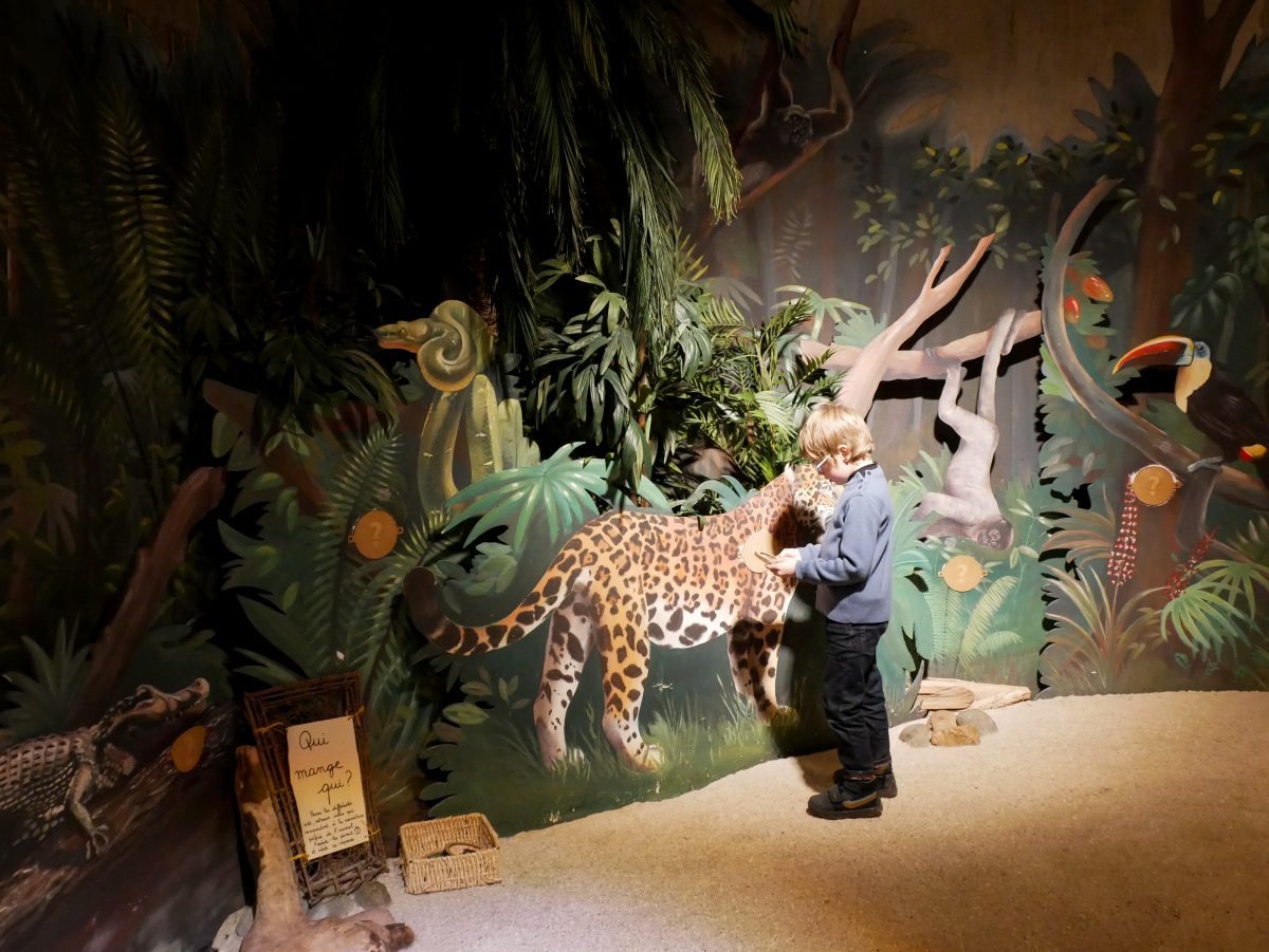 Pavillon des Sciences à Montbéliard