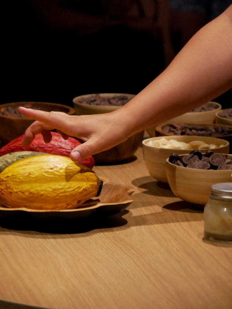 Cité du Chocolat ValRhôna