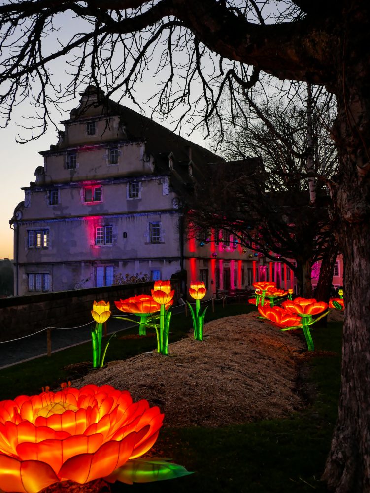 Espalanade chateau de Montbéliard