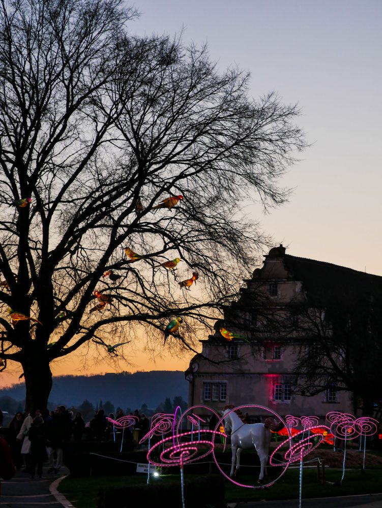 Illuminations esplanade château de Montbéliard