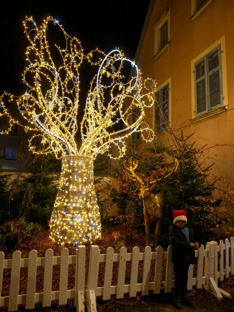 Montbéliard, marché de Noel en famille