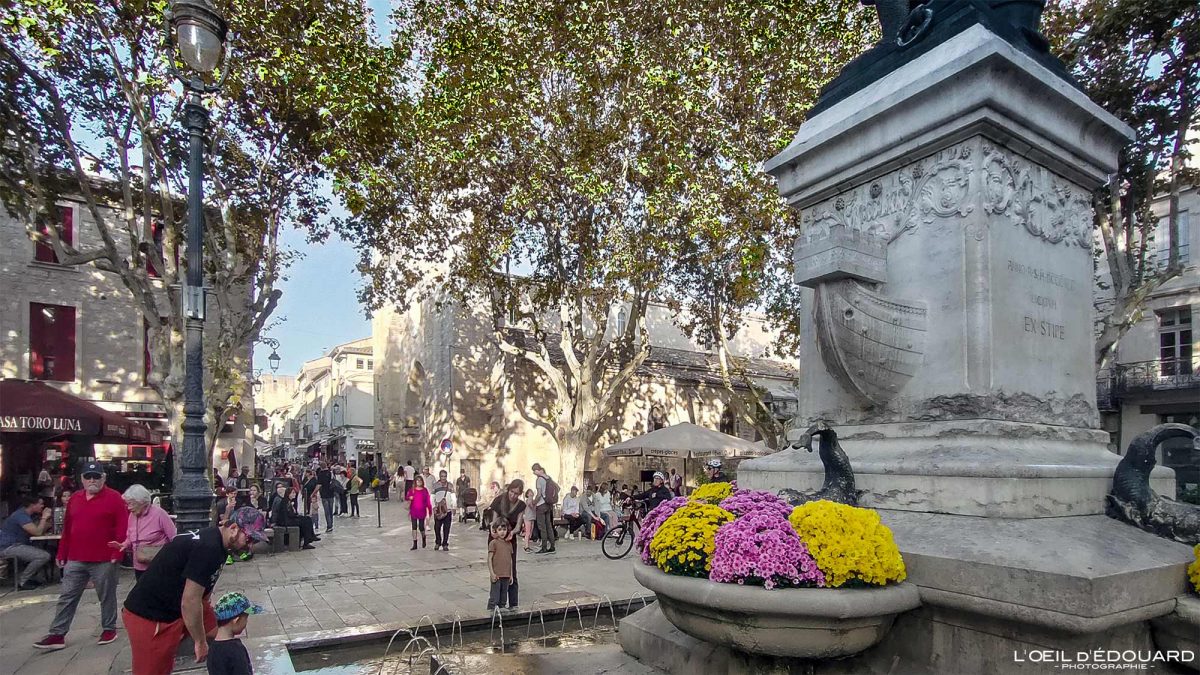 Place Saint-Louis Aigues-Mortes Camargue Gard Languedoc-Roussillon Occitanie Visit South of France Tourisme City Street View