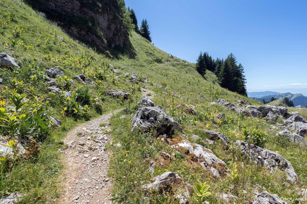 Randonnée Lac de la Case Massif du Chablais Haute-Savoie France Tourisme Paysage Montagne Outdoor Nature Hiking Mountain Landscape