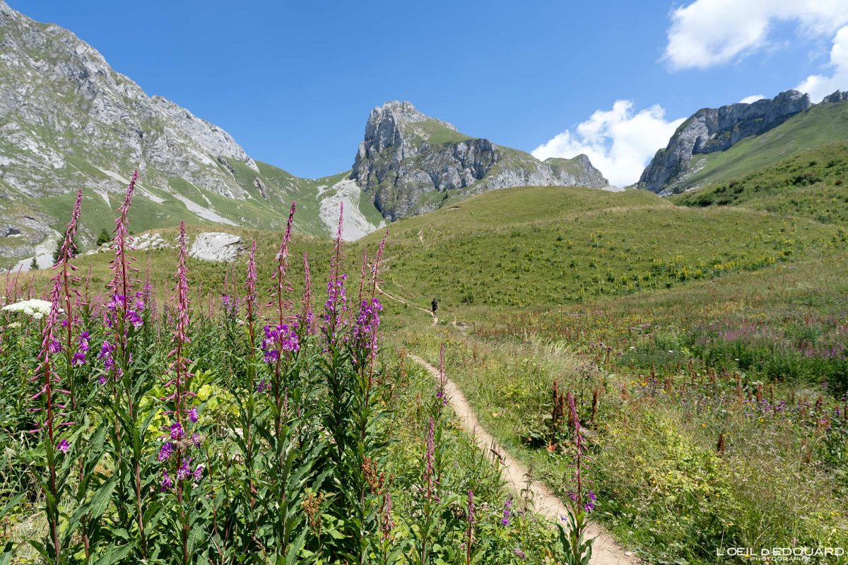 Randonnée Lac de la Case Massif du Chablais Haute-Savoie France Tourisme Paysage Montagne Outdoor Nature Hiking Mountain Landscape