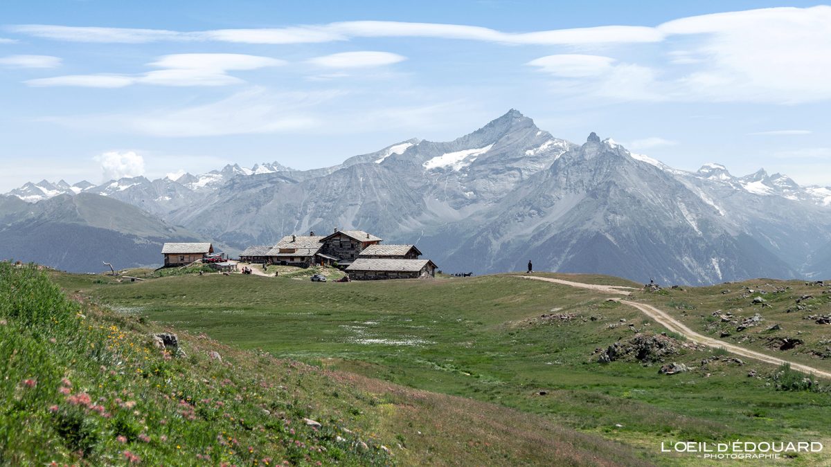 Refuge du Mont Fallère Vallée d'Aoste Italie Tourisme Randonnée Montagne Outdoor Nature Hiking Mountain Landscape / Rifugio Mont Fallere Valle d'Aosta Italia Montagna