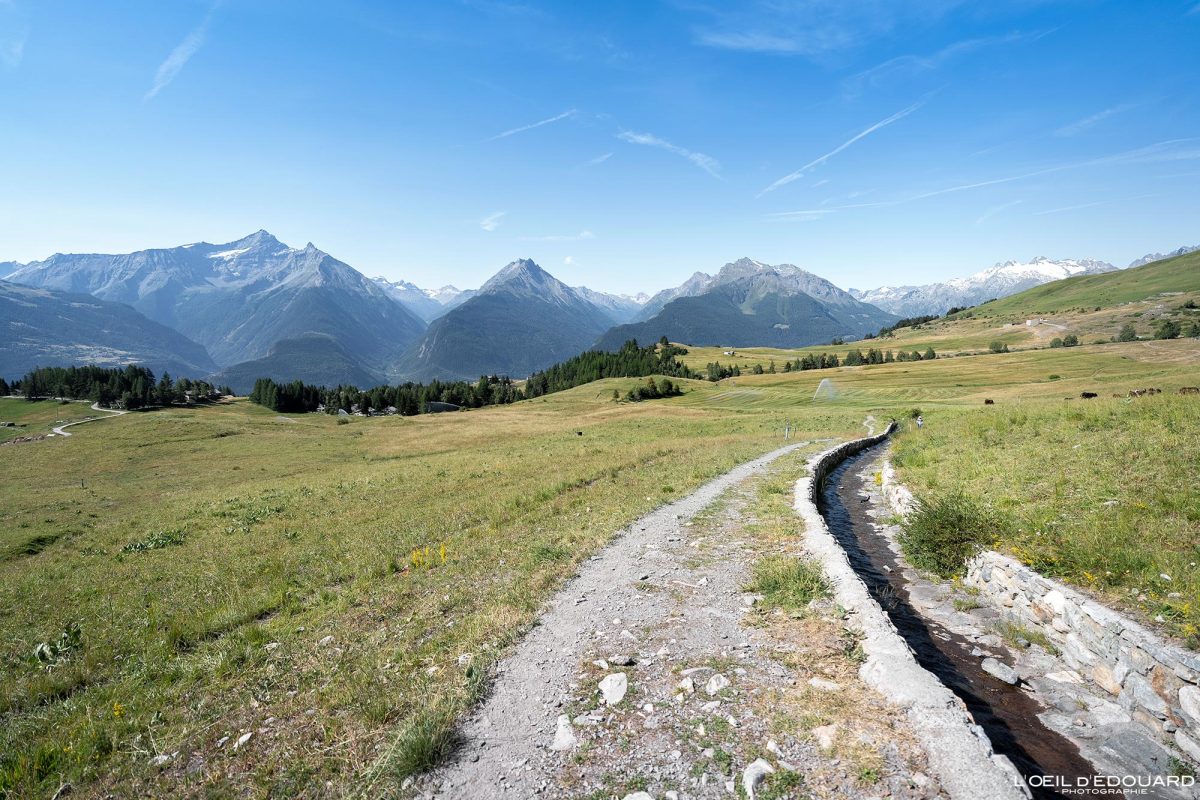 Randonnée Refuge du Mont Fallère Vallée d'Aoste Italie Tourisme Paysage Montagne Outdoor Nature Hiking Mountain Landscape / Vétan Dessus Montagna Valle d'Aosta Italia