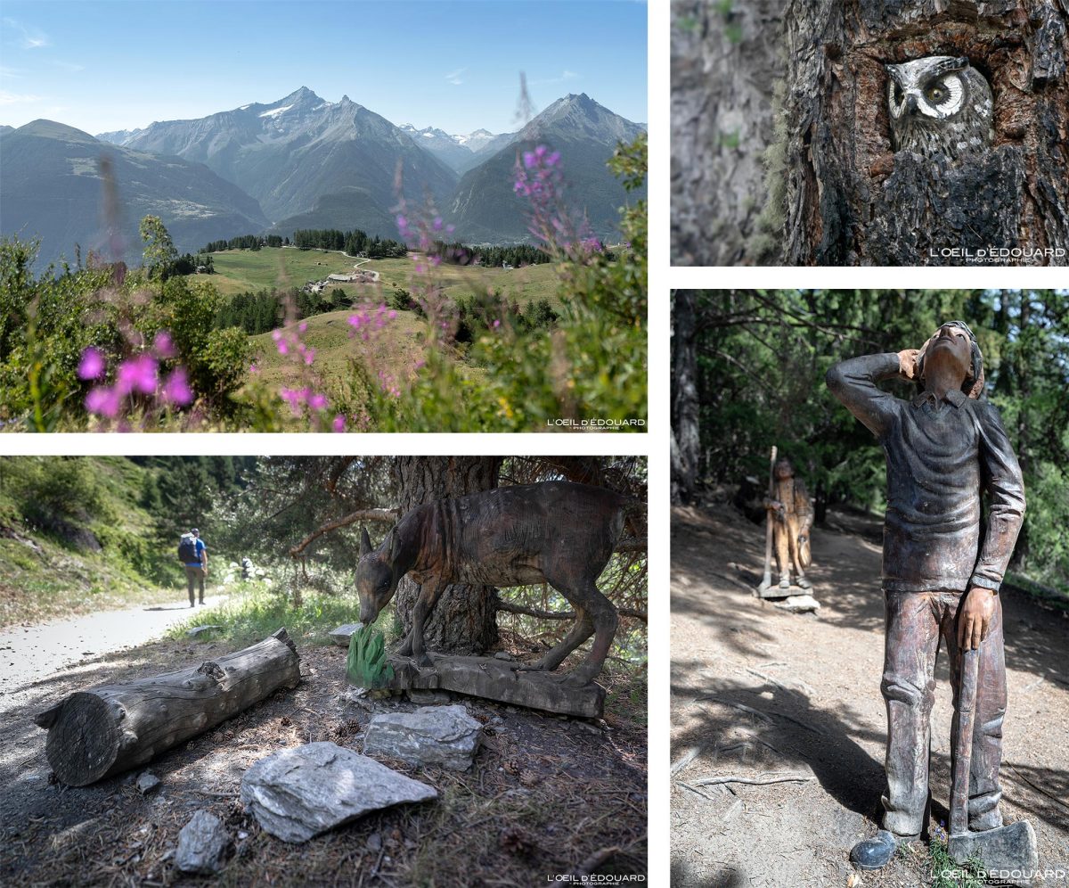 Sculptures en bois Randonnée Refuge du Mont Fallère Vallée d'Aoste Italie Tourisme Paysage Montagne Outdoor Nature Hiking Mountain Landscape / Sculture Siro Viérin Montagna Valle d'Aosta Italia
