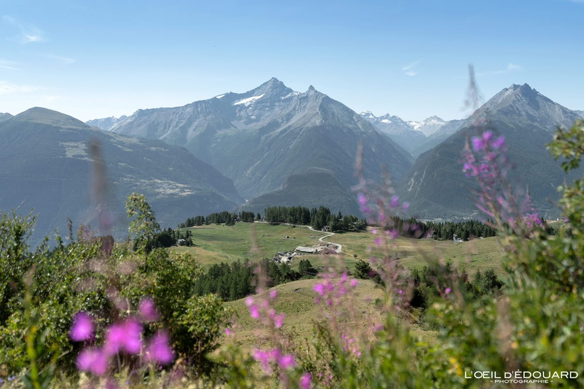 Trek Vallée d'Aoste Italie Tourisme Paysage Montagne Randonnée Outdoor Nature Hiking Trekking Mountain Landscape / Vétan Dessus Montagna Valle d'Aosta Italia