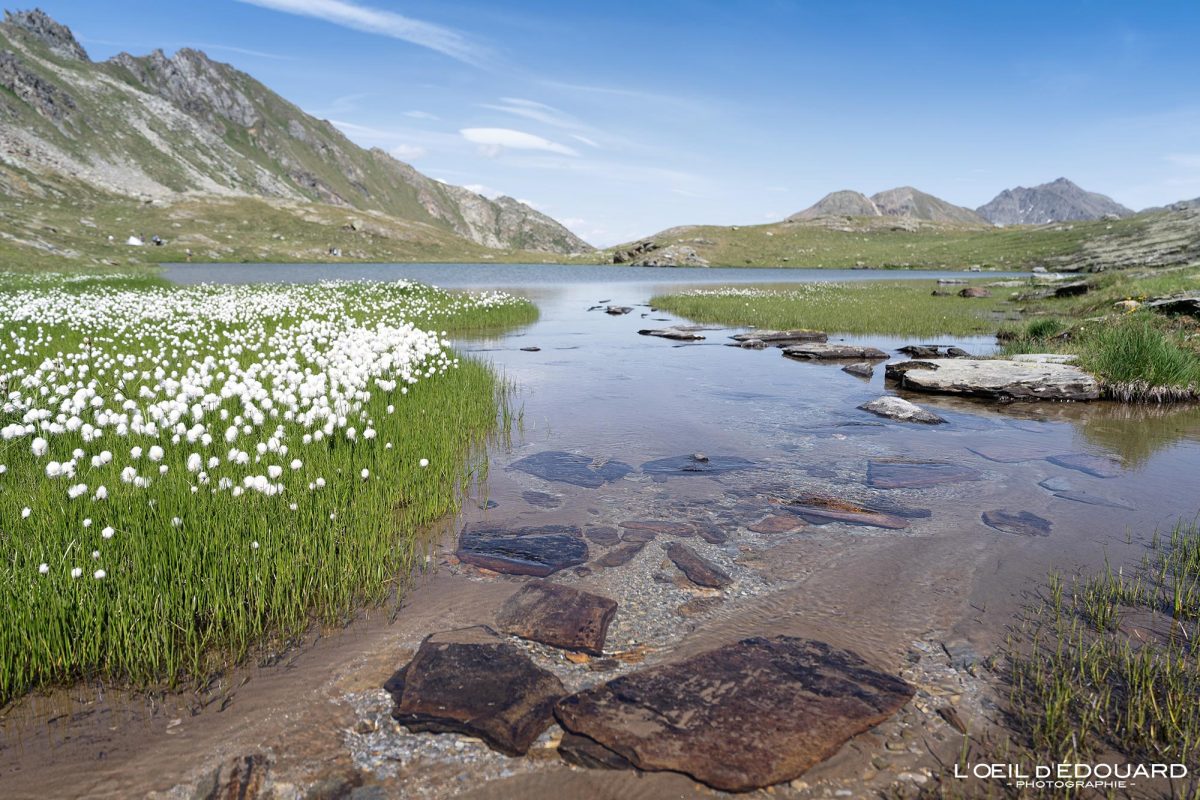 Lac de Dzioule Trek Vallée d'Aoste Italie Tourisme Paysage Montagne Randonnée Outdoor Nature Hiking Trekking Mountain Lake Landscape / Alpi Montagna Lago di Dzioule Valle d'Aosta Italia