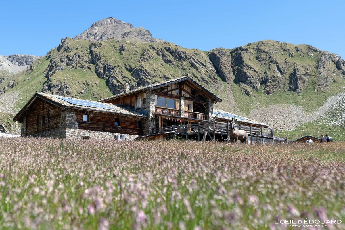Randonnée Refuge du Mont Fallère Trek Vallée d'Aoste Italie Tourisme Paysage Montagne Outdoor Nature Hiking Trekking Mountain Landscape / Rifugio Mont Fallere Valle d'Aosta Italia Montagna