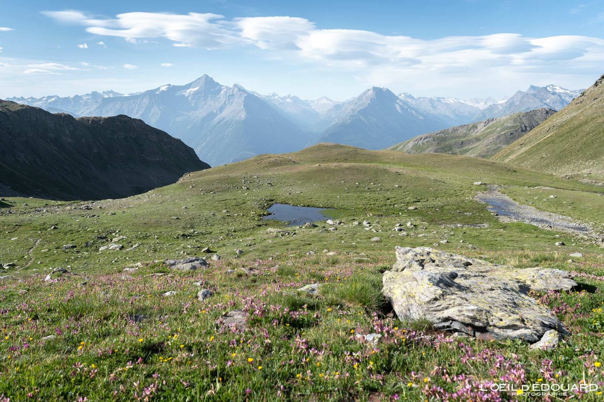 Col Fenêtre Trek Vallée d'Aoste Italie Tourisme Paysage Montagne Randonnée Outdoor Nature Hiking Trekking Mountain Landscape / Alpi Montagna Valle d'Aosta Italia