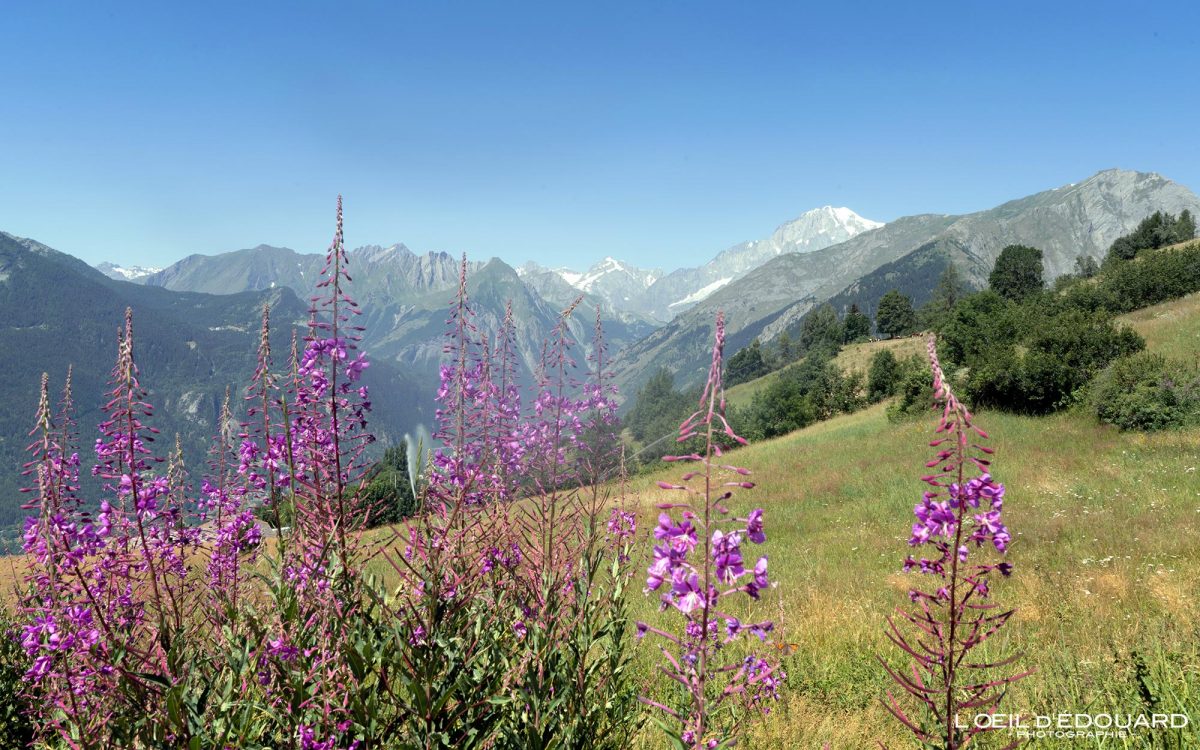 Challancin Trek Vallée d'Aoste Italie Tourisme Paysage Montagne Randonnée Outdoor Nature Hiking Trekking Mountain Landscape / Alpi Montagna Valle d'Aosta Italia